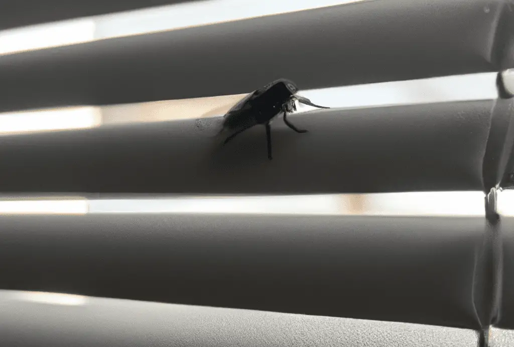 Why Do Flies Get Stuck in Window Blinds