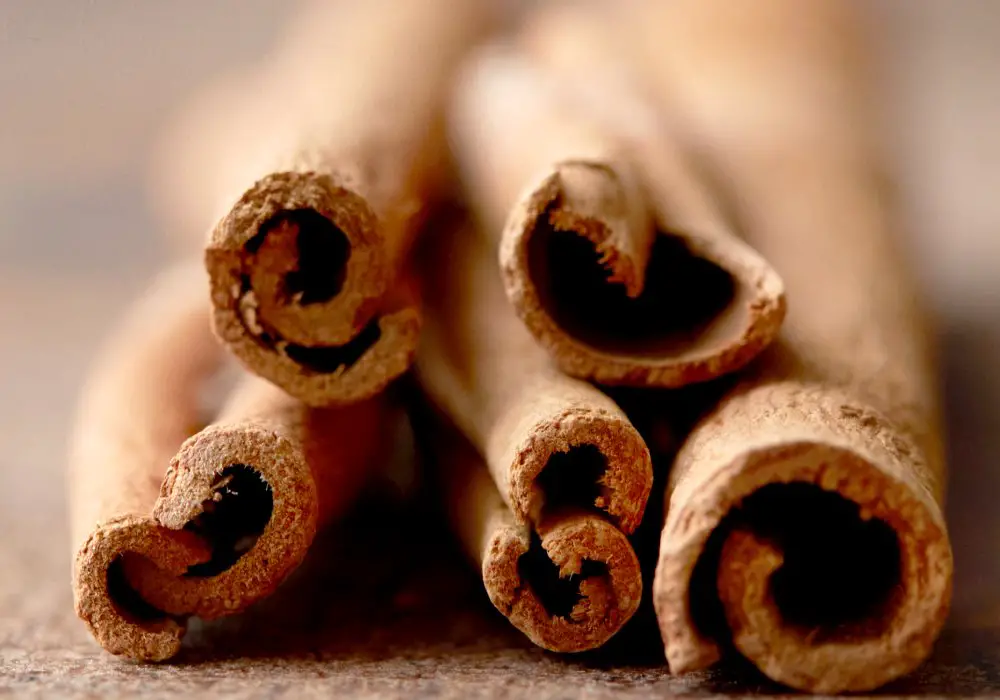 Does The Smell Of Cinnamon Keep Bugs Away
