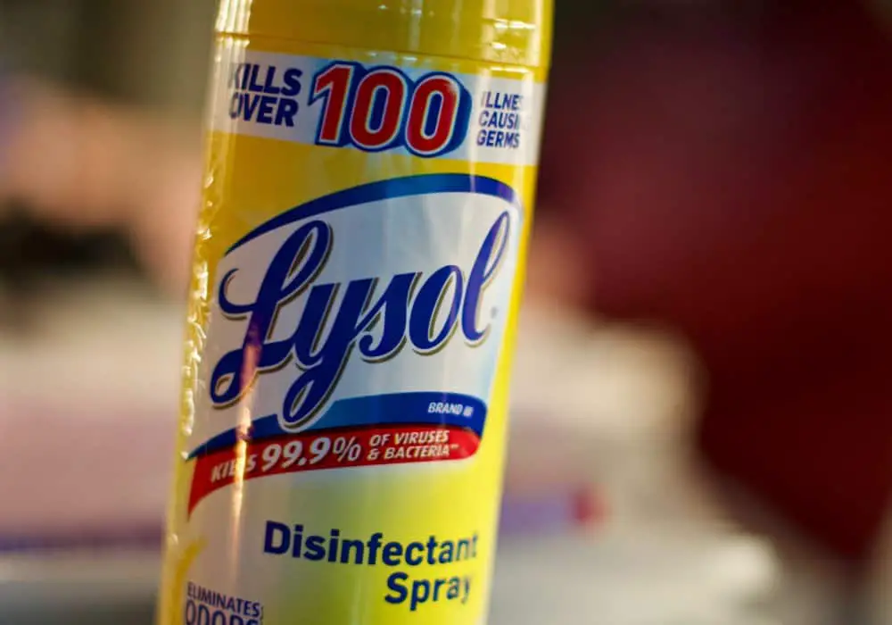 Does Lysol Kill Fleas and Ticks