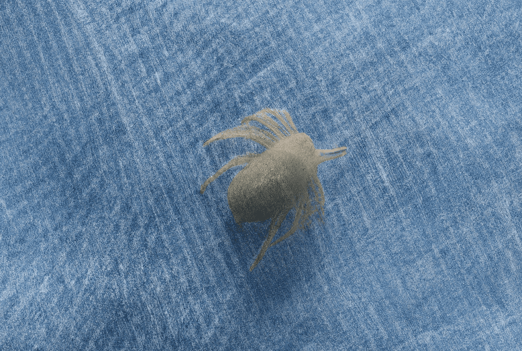 Dust Mite on Cloth