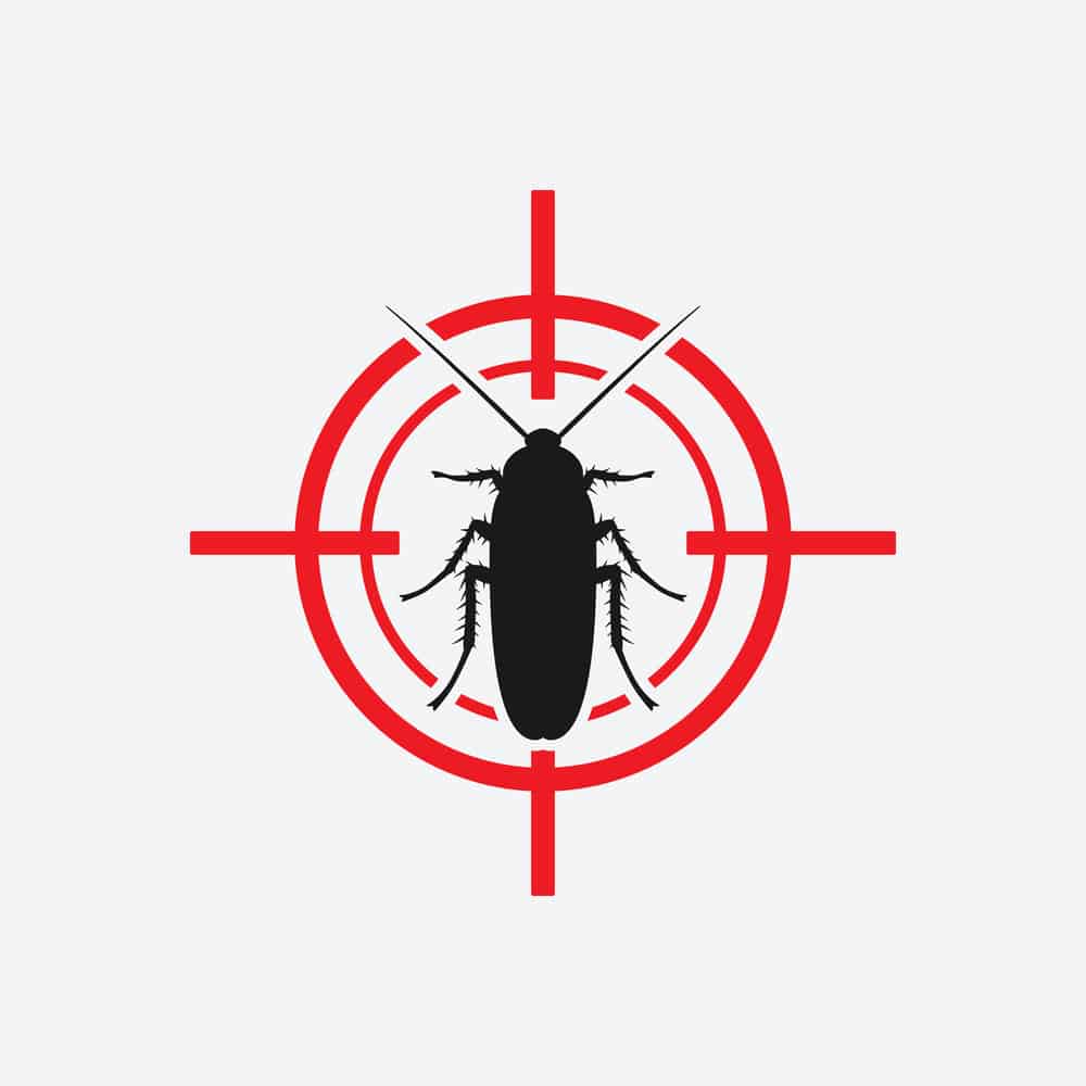 Cockroach Red Target